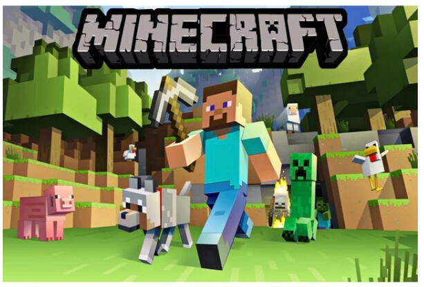 Minecraft back drop banner for events- can be hired